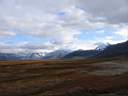 IMG_8850.JPG